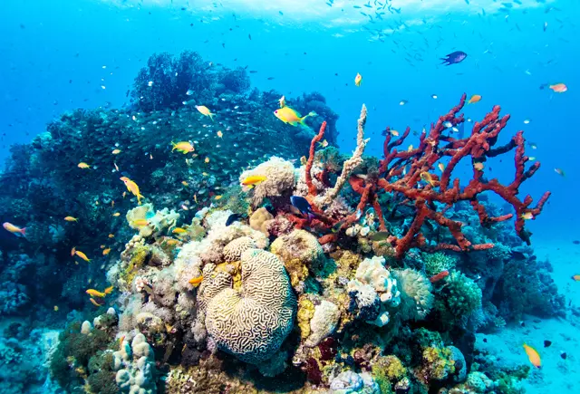 Sommerzeit - Urlaubszeit